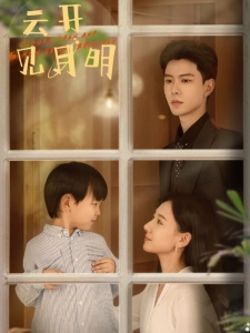 短剧云开见月明海报