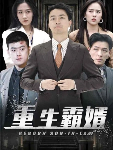 短剧重生霸婿海报