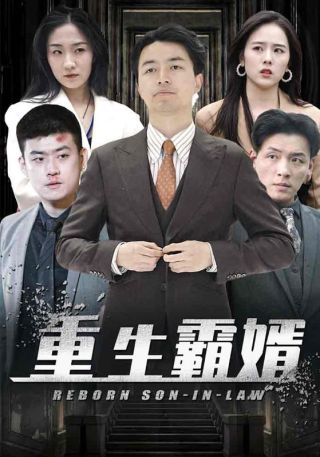 短剧重生霸婿海报