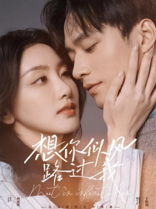 短剧想你似风路过我海报