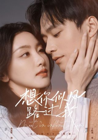 短剧想你似风路过我海报