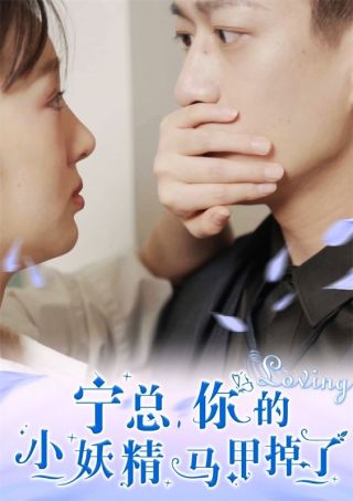 短剧宁总，你的小妖精马甲掉了海报