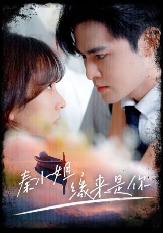 短剧秦小姐，缘来是你海报