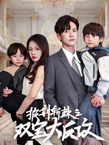 短剧披荆斩棘之双宝大反攻海报