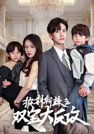 短剧披荆斩棘之双宝大反攻海报