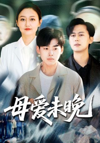 短剧母爱未晚海报