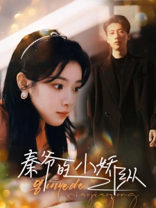 短剧秦爷的小娇纵海报