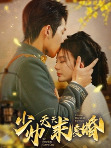 短剧少帅天天求复婚海报