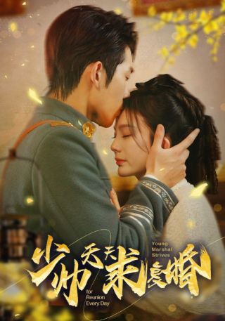 短剧少帅天天求复婚海报