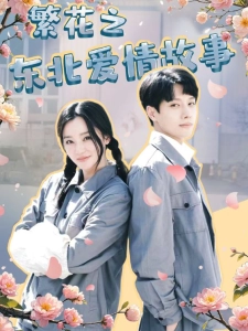 短剧繁花之东北爱情故事海报