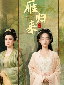 短剧雁归来海报