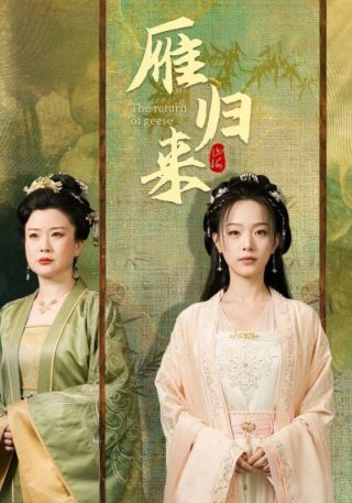 短剧雁归来海报