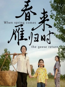 短剧春来雁归时海报
