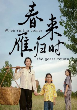 短剧春来雁归时海报