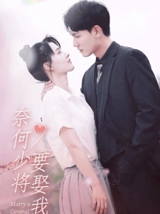 短剧奈何少将要娶我海报