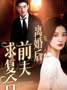 短剧离婚后前夫求复合海报