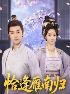 短剧恰逢雁南归海报