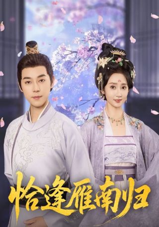 短剧恰逢雁南归海报