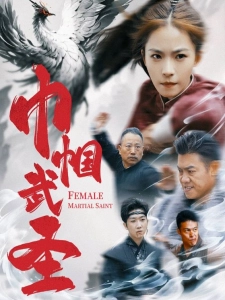 短剧巾帼武圣海报