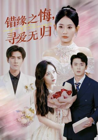 短剧错缘之悔，寻爱无归海报