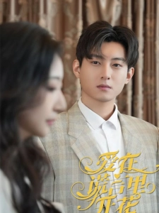 短剧爱在谎言里开花海报