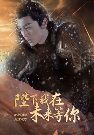 短剧陛下我在未来等你海报