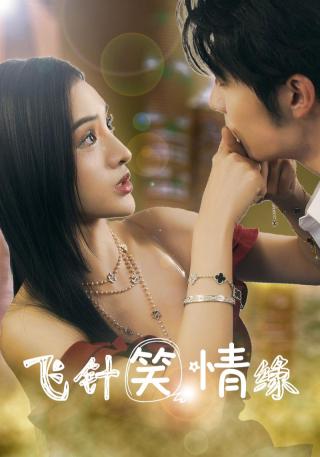 短剧飞针笑情缘海报