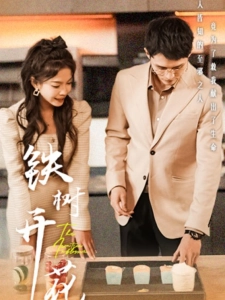 短剧铁树开花海报