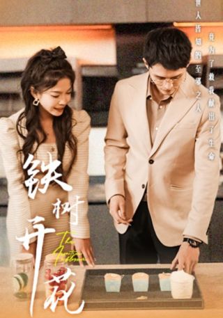 短剧铁树开花海报