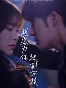 短剧我愿为你披荆斩棘海报