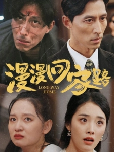 短剧漫漫回家路海报