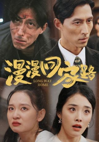 短剧漫漫回家路海报