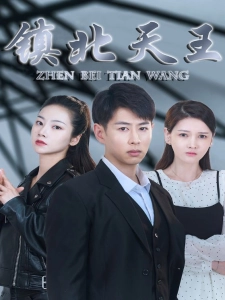 短剧镇北天王海报