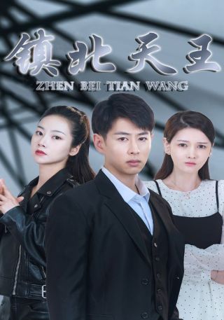 短剧镇北天王海报