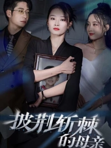 短剧披荆斩棘的母亲海报