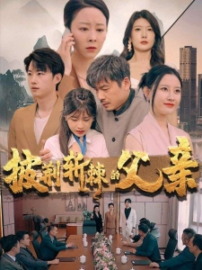 短剧披荆斩棘的父亲海报