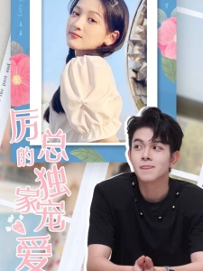 短剧厉总的独家宠爱海报