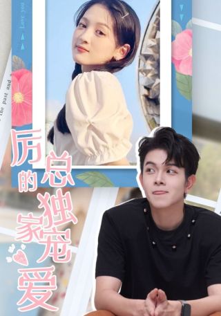 短剧厉总的独家宠爱海报