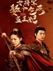 短剧女将军娶个乞丐当王妃海报