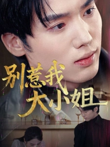 短剧别惹我大小姐海报