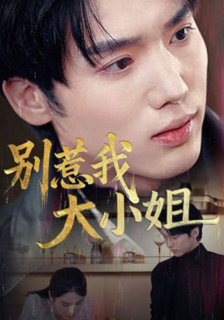 短剧别惹我大小姐海报