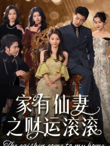 短剧家有仙妻之财运滚滚海报