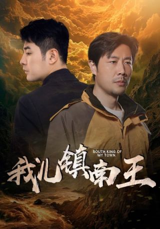 短剧我儿镇南王海报