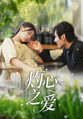 短剧灼心之爱海报