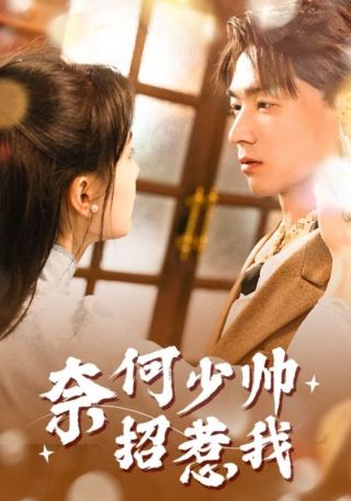 短剧奈何少帅招惹我海报