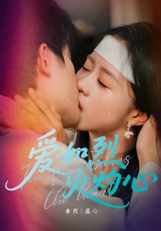 短剧爱如烈火灼心海报