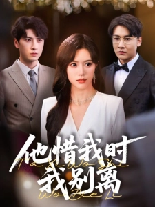 短剧他惜我时我别离海报