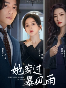 短剧她穿过暴风雨海报