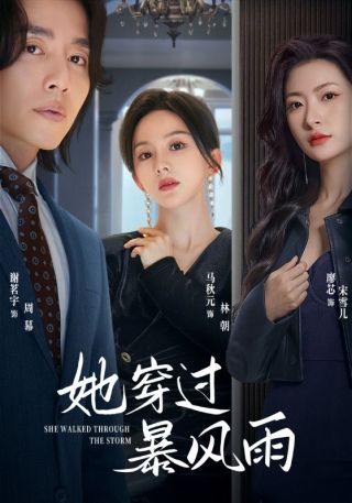 短剧她穿过暴风雨海报