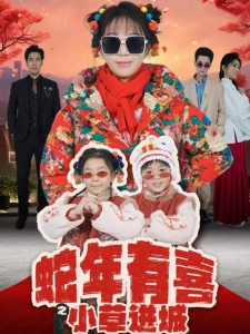 短剧蛇年有喜之小草进城海报